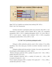 UAB “Citva” analizė 8 puslapis
