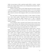 UAB “Citva” analizė 10 puslapis