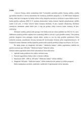 Medicinos banko finansinių rodiklių analizė 2 puslapis
