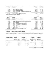 Medicinos banko finansinių rodiklių analizė 19 puslapis