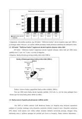 Medicinos banko finansinių rodiklių analizė 6 puslapis