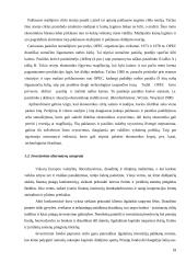 Obligacijų pelningumas asmeninių finansų valdyme 18 puslapis