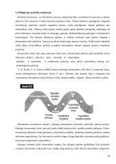 Obligacijų pelningumas asmeninių finansų valdyme 20 puslapis
