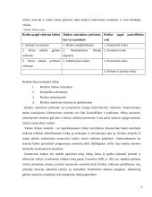 Likvidumo ir palūkanų normos rizikos ir įtakojantys veiksniai 13 puslapis