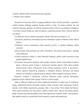 Likvidumo ir palūkanų normos rizikos ir įtakojantys veiksniai 4 puslapis