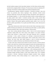 Likvidumo ir palūkanų normos rizikos ir įtakojantys veiksniai 6 puslapis