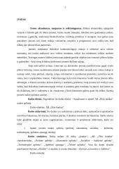 AB "Ūkio bankas" strateginis valdymas 2 puslapis