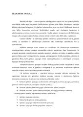 AB "Ūkio bankas" strateginis valdymas 13 puslapis