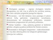 Darnaus vystymosi kryptys Lietuvoje  12 puslapis