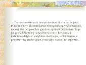 Darnaus vystymosi kryptys Lietuvoje  16 puslapis