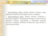 Darnaus vystymosi kryptys Lietuvoje  18 puslapis