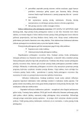 Pensijų draudimo Lietuvoje analizė 13 puslapis