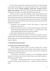 Pensijų draudimo Lietuvoje analizė 16 puslapis