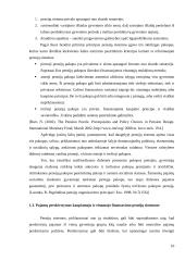 Pensijų draudimo Lietuvoje analizė 10 puslapis