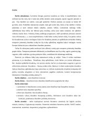 Turto draudimo principai ir rizika 2 puslapis