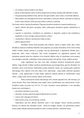 Turto draudimo principai ir rizika 11 puslapis