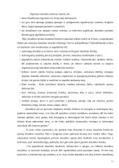 Turto draudimo principai ir rizika 12 puslapis