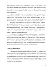 Turto draudimo principai ir rizika 13 puslapis