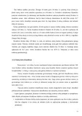 Turto draudimo principai ir rizika 14 puslapis