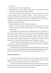 Turto draudimo principai ir rizika 15 puslapis