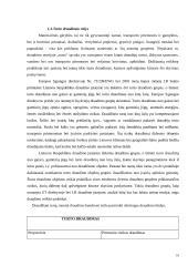 Turto draudimo principai ir rizika 16 puslapis