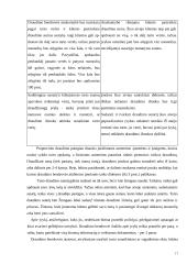 Turto draudimo principai ir rizika 17 puslapis