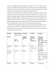 Turto draudimo principai ir rizika 18 puslapis