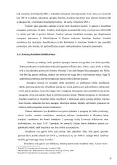 Turto draudimo principai ir rizika 20 puslapis