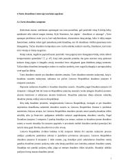 Turto draudimo principai ir rizika 3 puslapis