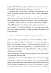 Turto draudimo principai ir rizika 7 puslapis