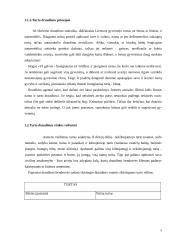 Turto draudimo principai ir rizika 9 puslapis