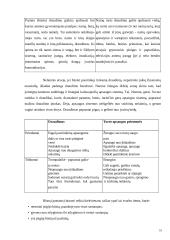 Turto draudimo principai ir rizika 10 puslapis