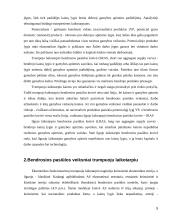 Bendrosio pasiūlos veiksniai 5 puslapis