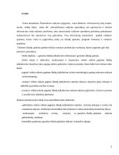 Gamybos išlaidų vidinė kontrolė 2 puslapis