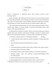 Gamybos išlaidų vidinė kontrolė 12 puslapis