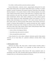 Gamybos išlaidų vidinė kontrolė 13 puslapis