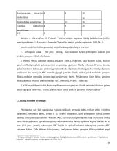 Gamybos išlaidų vidinė kontrolė 18 puslapis