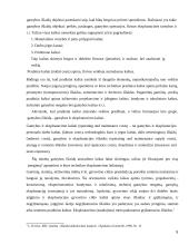 Gamybos išlaidų vidinė kontrolė 5 puslapis