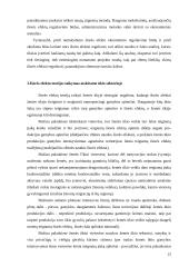 Išorės efektai ir ekomominis reguliavimas  13 puslapis