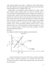 Išorės efektai ir ekomominis reguliavimas  8 puslapis