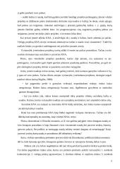 ES struktūrinių fondų kaštų naudos analizė  11 puslapis