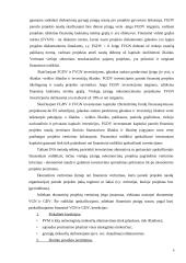 ES struktūrinių fondų kaštų naudos analizė  6 puslapis