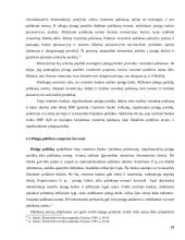 Keinzo ekonominės teorijos ir jų taikymas 19 puslapis