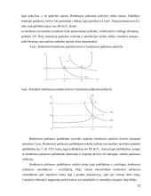 Pasiūlos elastingumas 12 puslapis