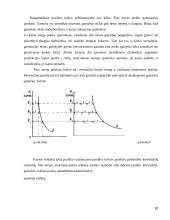Pasiūlos elastingumas 20 puslapis
