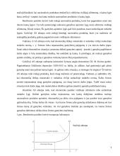 Pasiūlos elastingumas 7 puslapis