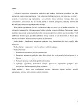 Tarptautinės prekybos apribojimų įstaka pajamoms 2 puslapis