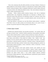 Tarptautinės prekybos apribojimų įstaka pajamoms 11 puslapis