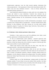 Tarptautinių organizacijų valdymas 16 puslapis