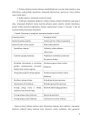 Tarptautinių organizacijų valdymas 4 puslapis